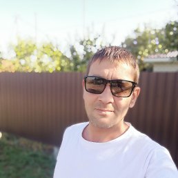 , 41, 