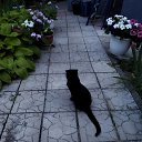 ���� �����, ���������, 55 ��� - ��������� 28 ������� 2023 � ������ ���� ����������