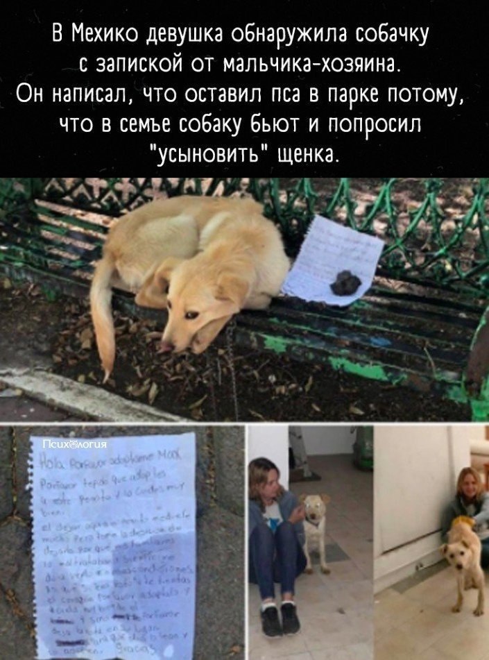      :