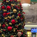 ���� ����� ����������, ��������, 56 ��� - ��������� 12 ������ 2026