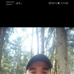 , 41, -