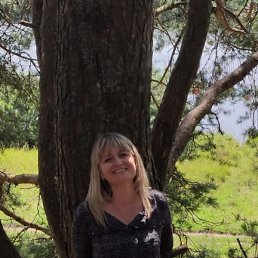 ����, �����, 53 ����