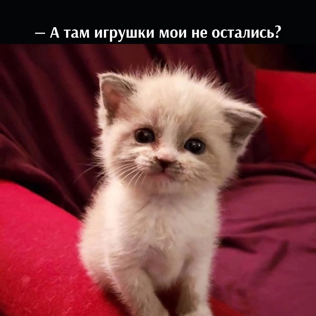 ��� ���� � ����� �� �� - 9 ������ 2026 � 20:42 - 3