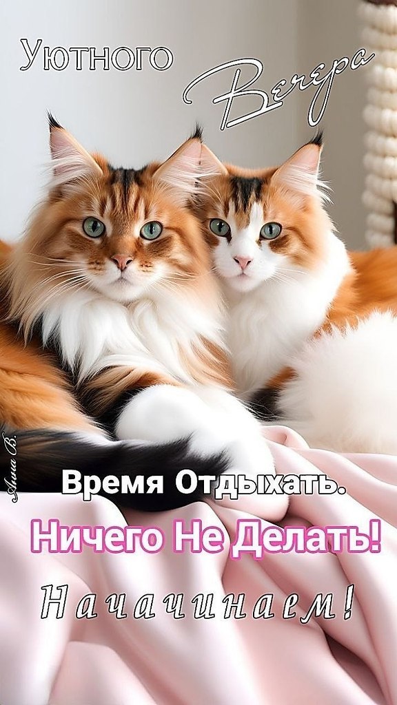 Walera - 15 октября 2025 в 18:40