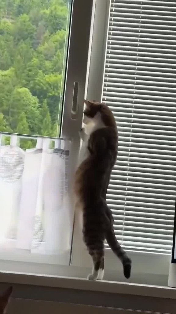 ������ �� ���� ����� �������? - 2