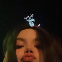 , 24, 