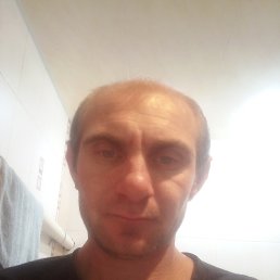 , 33, 