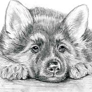 �������, 28 ���, �����-���������