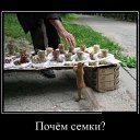 ���� ���������, �������, 52 ���� - ��������� 12 ���� 2026 � ������ ������ ��������