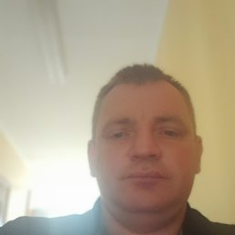 , 41, 