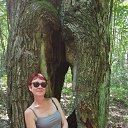  , -, 54  -  27  2024    