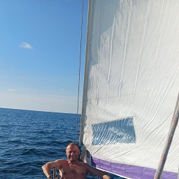 ���������, 44 ����, ��������