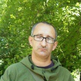 �����, ������, 41 ���