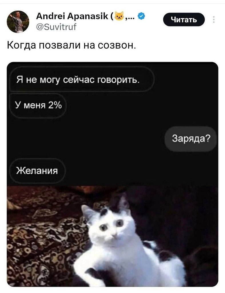   - 10  2025  12:36