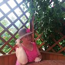 ���� �����, ����������, 65 ��� - ��������� 15 ����� 2024 � ������ ���� ����������