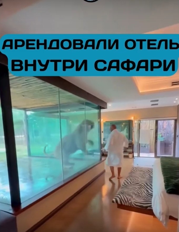 Каково это — проснуться под рев льва и увидеть жирафа за окном? Отель Mara River Safari Lodge на ... - 3