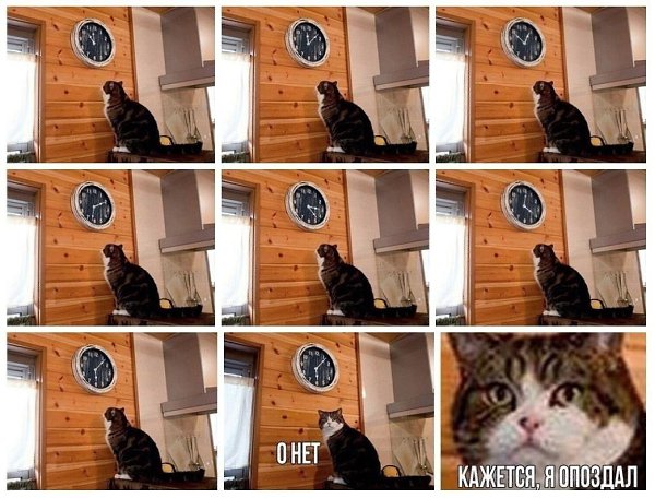 До глубины души поразила история мужчины, который купил на рынке туфли. Он хотел тут же переобуться, ...