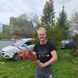 , 54 ,  