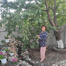 , 53, 
