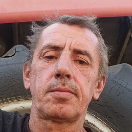 ���� ������, ������, 46 ���