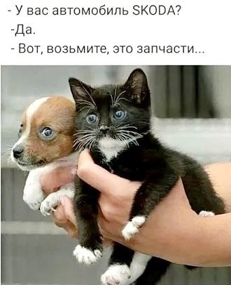  - 19  2024  10:44