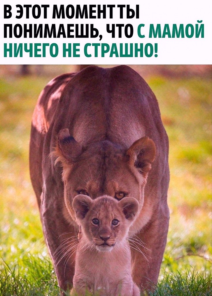 ce   e a !