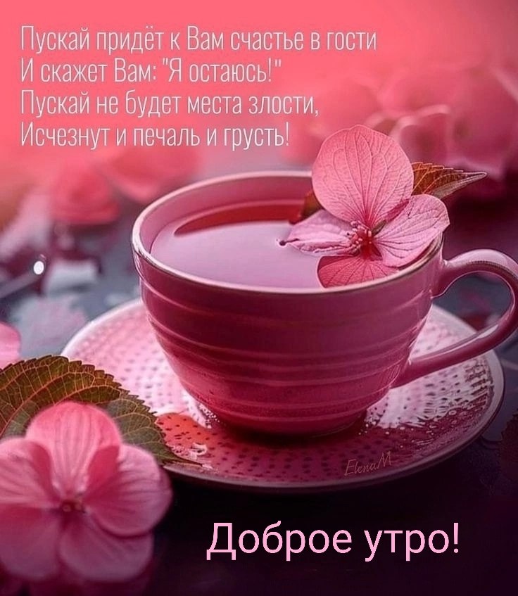   ,    . - 12  2025  23:36