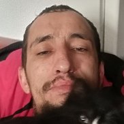 ������� ����������, 31 ���, ���������