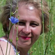 �����, , ������