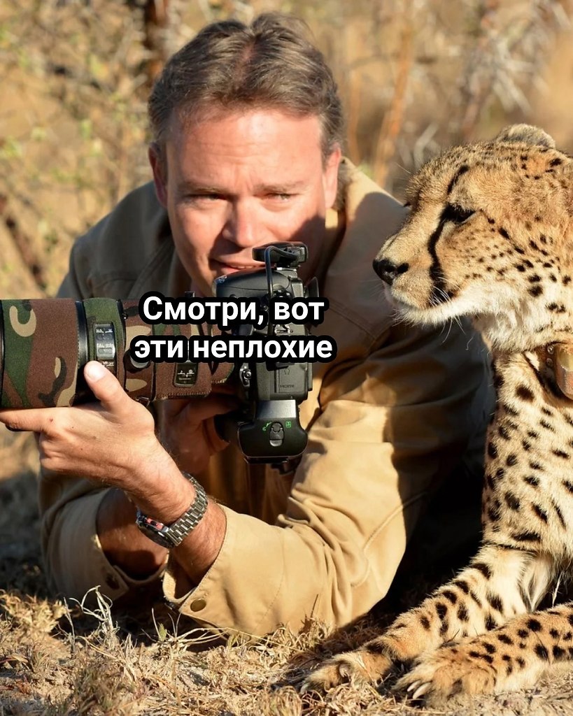   - 2