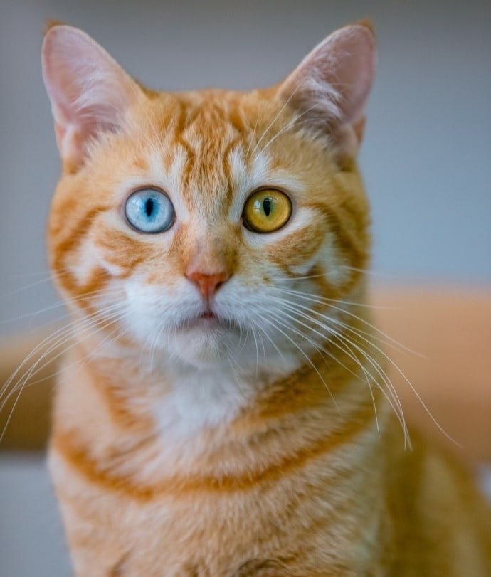       - 4  2025  21:54 - 4