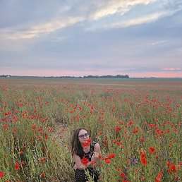 �������, �����������, 50 ���