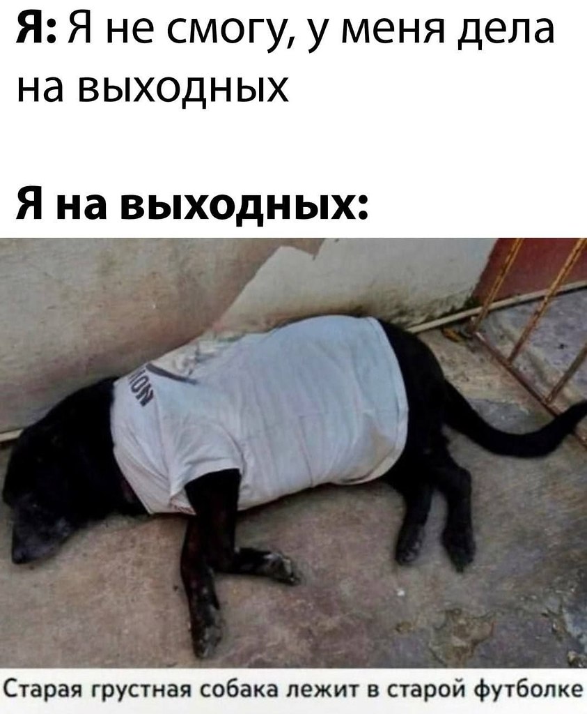  - 8  2025  20:04