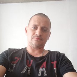 ���������, 41 ���, ������