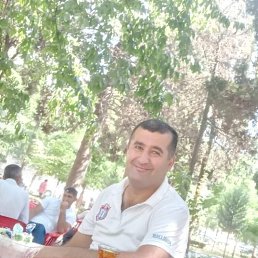 , 46, 
