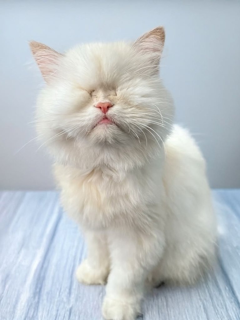 ,  !      ,   ,       ... - 2