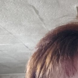 , , 44 