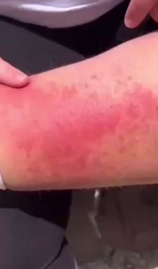 ���������� �������� ����� �������� ������� � ������������ �����. ��� ��������� �������, ������� ... - 2