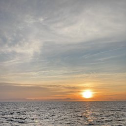 ���� �������, �����-���������, 48 ��� - ��������� 29 ������� 2023