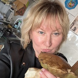 , 48, 