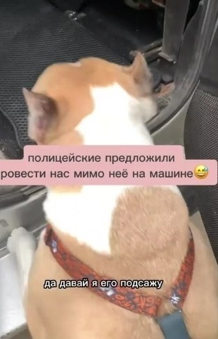 ������ � ���� ������!�. ������� ������������ ����� � �������� �� ����� ������� �������. ϸ� ��� ... - 2
