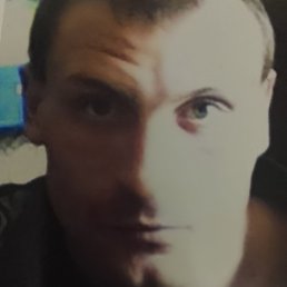 ����, �����������, 43 ����