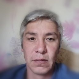 , 41, 