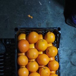 ���� ������, ������, 22 ���� - ��������� 20 ������ 2024