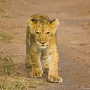 ���� ������, �������, 64 ���� - ��������� 8 ������ 2025 � ������ ���� ����������