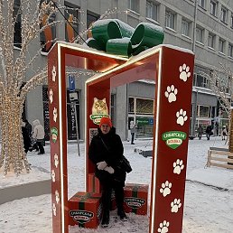 �����, �����������, 46 ���