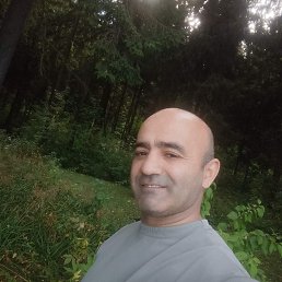 , 44 , 