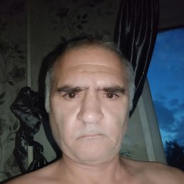, 53 , 