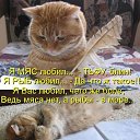 ���� Sokol ., ����������� - ��������� 27 ������ 2026 � ������ ������ ��������