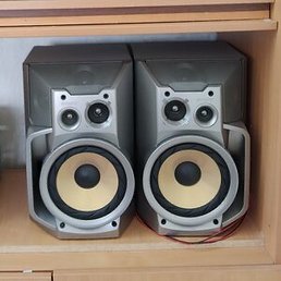 ������, �����, 44 ����